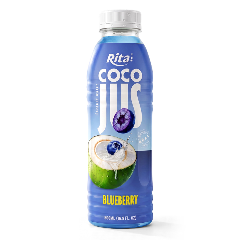 COCO JUS 真椰子水蓝莓果汁500毫升（16.9液体盎司）